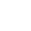 pzi